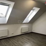 Rent 2 bedroom apartment of 50 m² in Česká Třebová