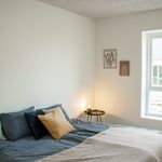 Rent 5 bedroom house of 113 m² in Silkeborg