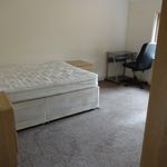 Rent 6 bedroom apartment in Derby