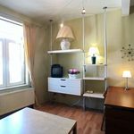 Rent 1 bedroom apartment of 45 m² in Etterbeek