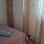 Rent 3 bedroom apartment of 84 m² in Primorsko-goranska