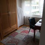 Rent 4 bedroom apartment in Rorschach