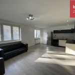 Rent 1 bedroom apartment of 52 m² in Ostrava
