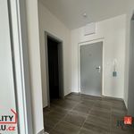 Rent 1 bedroom apartment of 50 m² in Blansko