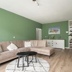 Rent 3 bedroom apartment of 80 m² in Schiedam