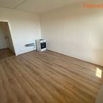 Rent 1 bedroom apartment of 50 m² in Orlová