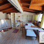 Rent a room of 255 m² in Rodopoli