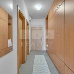 Rent 1 bedroom apartment of 50 m² in Hradec Králové