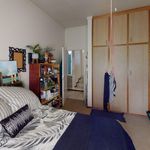 Rent 4 bedroom house in Dawid Kruiper