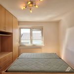 Rent 5 bedroom apartment of 119 m² in Neckenmarkt