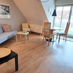 Rent 2 bedroom apartment of 53 m² in Erlangen
