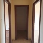 Rent 2 bedroom apartment of 65 m² in Ozzano dell'Emilia