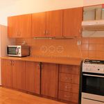 Rent 4 bedroom apartment of 103 m² in Cheb