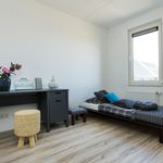 Rent 3 bedroom apartment of 118 m² in Assen
