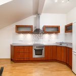 Rent 3 bedroom apartment of 125 m² in Ostrava