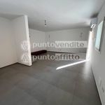 Rent 3 bedroom apartment of 75 m² in Capannori