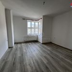 Rent 2 bedroom apartment of 78 m² in Český Těšín