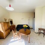 Rent 1 bedroom apartment of 30 m² in Profondeville
