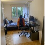Rent 3 bedroom apartment in Zürich
