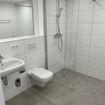 Rent 2 bedroom apartment of 60 m² in Greifswald