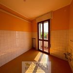 Rent 5 bedroom apartment of 105 m² in Padova