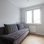 Rent 2 bedroom apartment of 45 m² in Zielona Góra