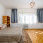 Rent a room of 130 m² in Prague