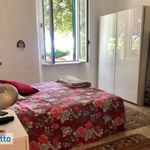 Affitto 2 camera appartamento di 50 m² in Rosignano Marittimo
