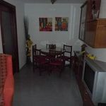 Rent 2 bedroom apartment of 67 m² in Torrevieja