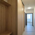 Rent 1 bedroom apartment of 50 m² in Nová Paka