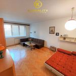 Rent 3 bedroom apartment of 72 m² in Ústí nad Labem