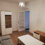 Najam 2 spavaće sobe stan od 48 m² u Rijeka