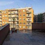Rent a room of 250 m² in Roma