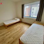 Rent 2 bedroom apartment of 58 m² in Pilsen