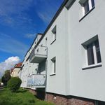 Rent 1 bedroom apartment of 45 m² in Leipzig