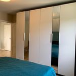 Rent 6 bedroom house of 176 m² in Hapert Oost