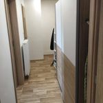 Rent 2 bedroom apartment of 45 m² in Opava