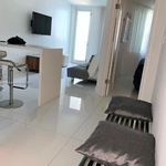 Rent 1 bedroom apartment of 535 m² in Miami Beach