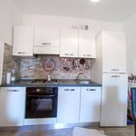 Rent 1 bedroom apartment of 65 m² in Livorno