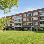 Rent 2 bedroom apartment of 49 m² in Loppi