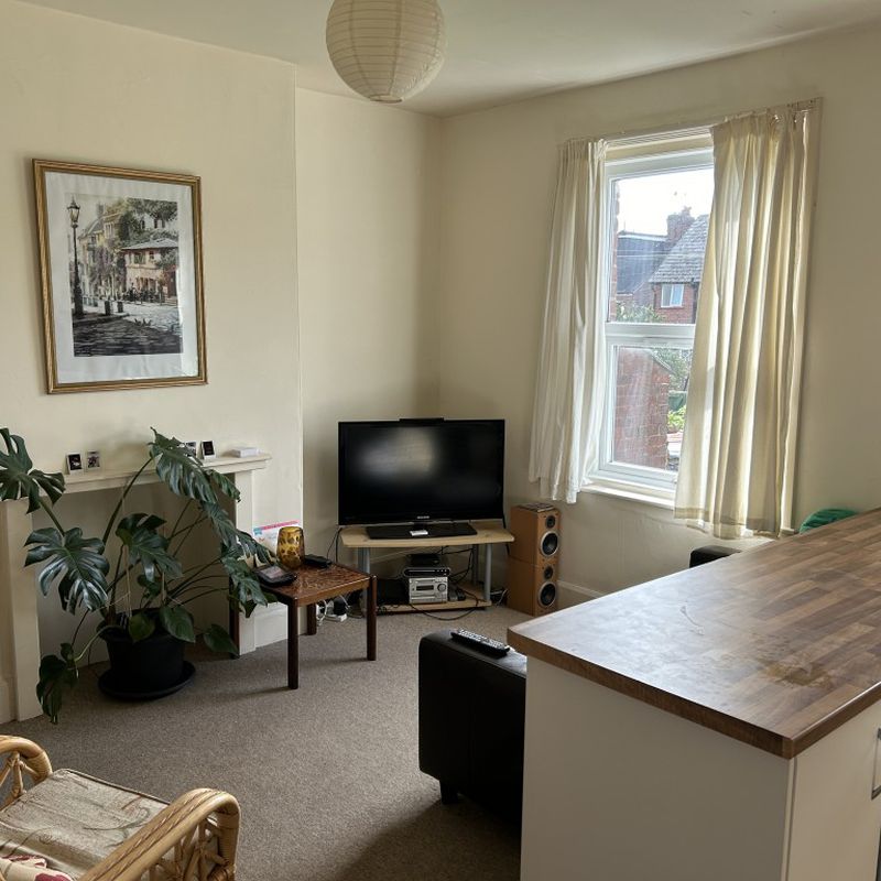 St. Annes Road, Exeter, 4 bedroom, House