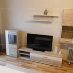 Rent 1 bedroom apartment of 47 m² in Pécs