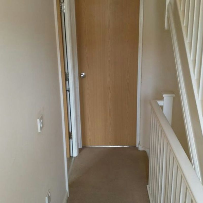 1 Bedroom Property For Rent in Hatfield - £650 pcm Ellenbrook