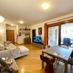 Rent 3 bedroom apartment of 100 m² in Tonezza del Cimone