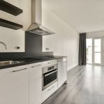 Rent 1 bedroom apartment of 23 m² in 's-Gravenhage