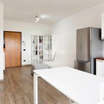 Rent 2 bedroom apartment of 59 m² in Pomezia