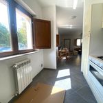 Rent 3 bedroom apartment of 75 m² in L'Aquila