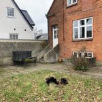 Rent 6 bedroom house of 159 m² in Herning