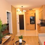 Rent 1 bedroom apartment of 40 m² in Wrocław