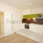 Rent 1 bedroom apartment of 42 m² in Plzeň